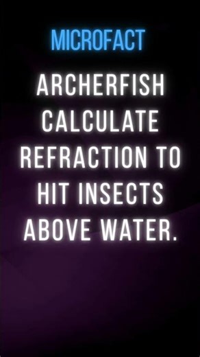 Archerfish calculate refraction to hit insects above water.