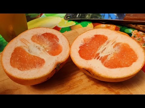 Ruby Red Grapefruit Tree Review & Fruit Tasting