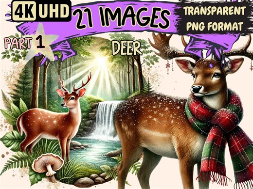 Deer Clipart – 21 PNG Woodland Animal Illustrations (digital Download) - Etsy