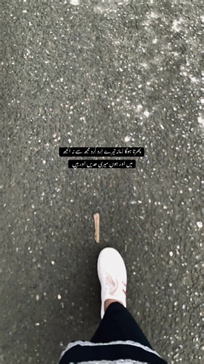 Exploring the Depths of