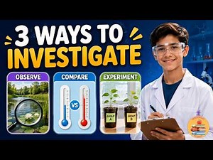Types of Scientific Investigations | Grade 8 Science Week 1 Day 3