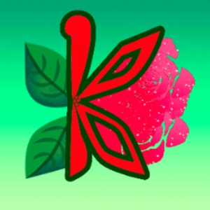 hidrok2 - Twitch