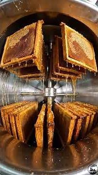 inside the super large honey production line golden flow