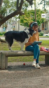 #ad Does your dog have APE (Adorable Puppy Energy), or are they just after some @Purina? (The answer is both!) | Daily Paws