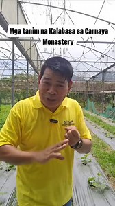 586K views · 13K reactions | SIMPLE TIPS SA PAGTATANIM NG OKRA SA MGA BOTE NG MINERAL WATER #farming #viewers #FYI | Magsasakang Reporter, TV and Radio Host, Columnist and Vlogger | Facebook