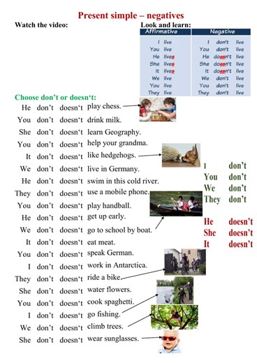 Present simple negative 2 worksheet
