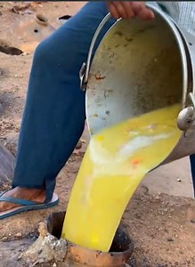 Making of cashew Feni | Kaju Feni | Traditional Liquor Of GOA |#feni #cashew #Liquor #traditional