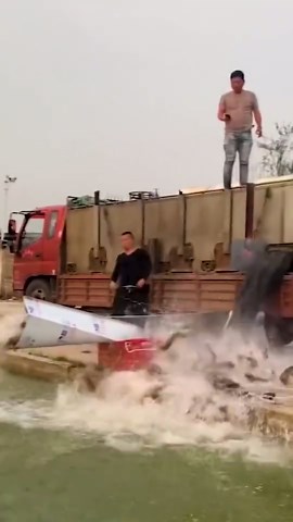 Hard Work in Action: Mastering Every Task