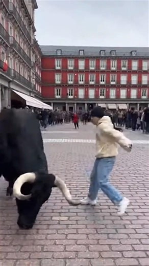 Insane Bull Dodge! 😱 #Shorts #Bull