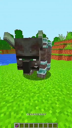 Rarest Drops in Minecraft: What You Need to Know