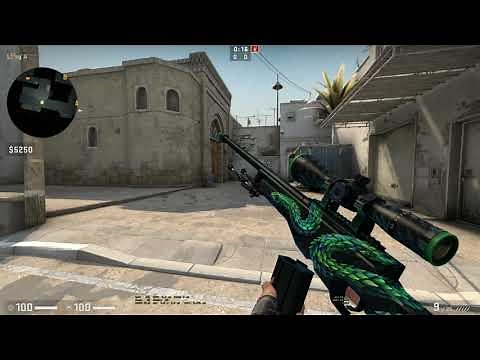 AWP Atheris Field-Tested (Low Float) Skin Showcase (0.16 FT)