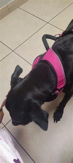 SOMETHING'S WRONG WITH JASMINE PLEASE PRAY