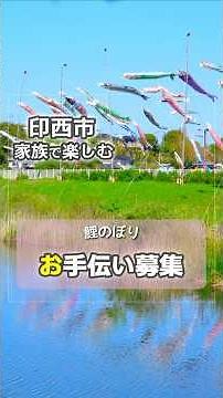 Kobayashi's carp streamers, Inzai City, Chiba Prefecture #shorts