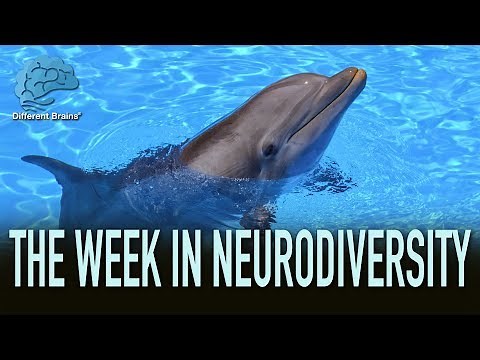 How Dolphin Therapy Is Helping Kids With Special Needs – W.I.N.
