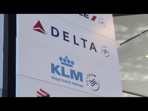 Family sues Delta, KLM over alleged bedbug bites | FOX 5 News