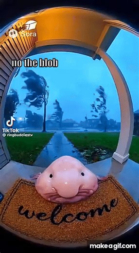 Mr. blob fish on Make a GIF