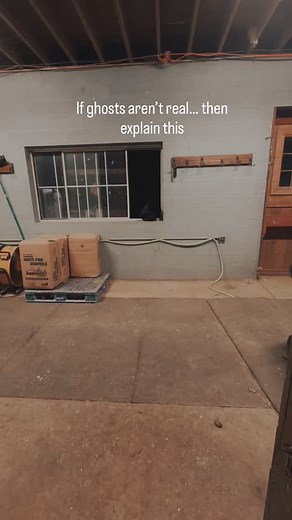 Equine ghost spotting… the legend states Aggie still roams the barn at night searching for snacks👻 #ghostspotting #wardrobemalfunction #furvivors #halloween #horserescue | Furvivors Wonderland Horse Rescue & Farm Animal Sanctuary