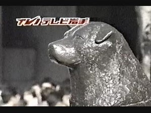 88年8月 深夜CM (TVI)