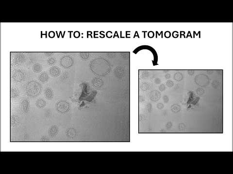 How to rescale the pixel size of a tomogram