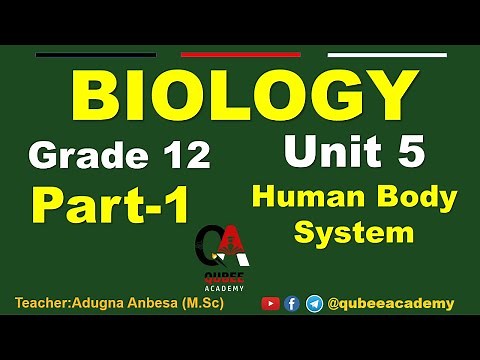 1. Grade 12 Biology Unit 5 : Human Body System | Part 1 | Afaan Oromoo ‪@QUBEEDIGITAL‬