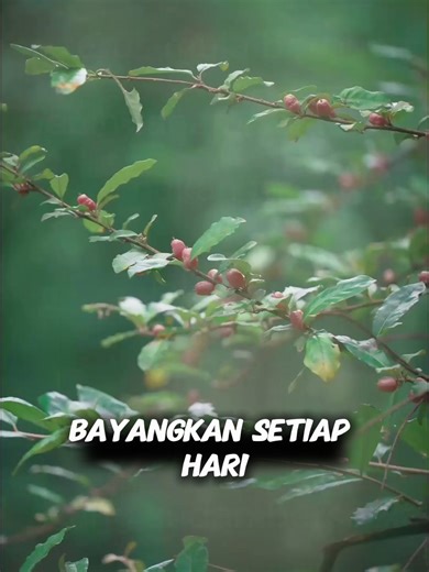 Exploring Goat Milk Fruit: Benefits and Cultivation