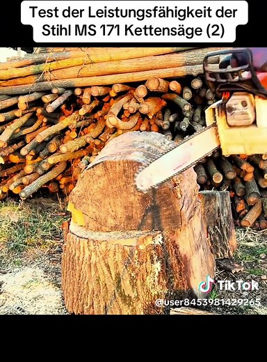 Test der Stihl MS 171 Kettensäge: Leistungsbewertung