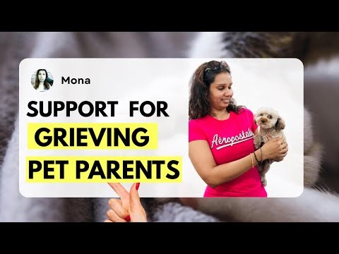 Healing from Pet Loss | A Support Session