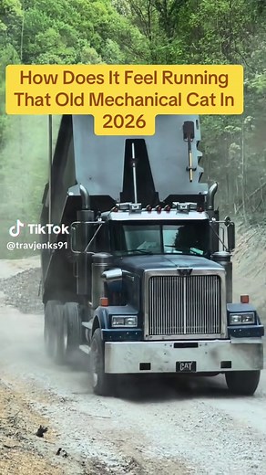 One Thing About It Im Yet To Have computer Or DEF Problems#CapCut #memecut #meme #cat