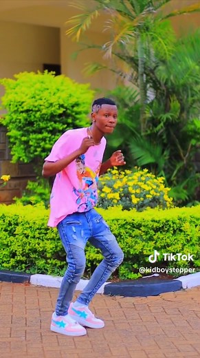 Fun Kid Stepper Dance Challenge Videos