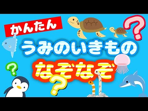 【幼児向け】かんたんなぞなぞ うみのいきもの｜ヒントもでるよ｜子供向け
