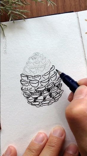 Let's draw a pinecone with ink ✍️