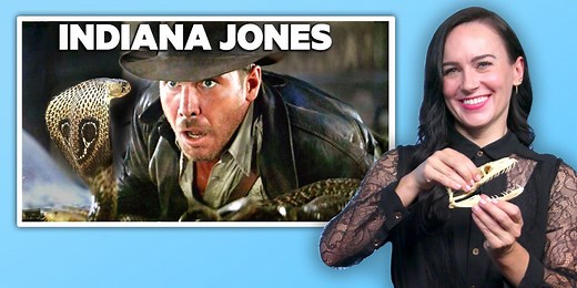 Snake expert rates 11 snake attacks in movies for accuracy