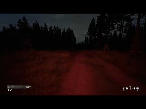 the scariest encounter in dayZ