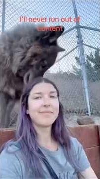 IF WHITE WOMEN ON BOTH SIDES GOT TOGETHER THEY WILL BE THE BIGGEST ANIMAL RESCUE IN HISTORY! #short