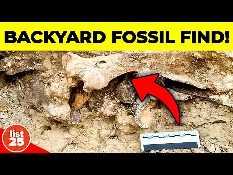 25 Most Bizarre Artifacts Ever Discovered On Construction Sites