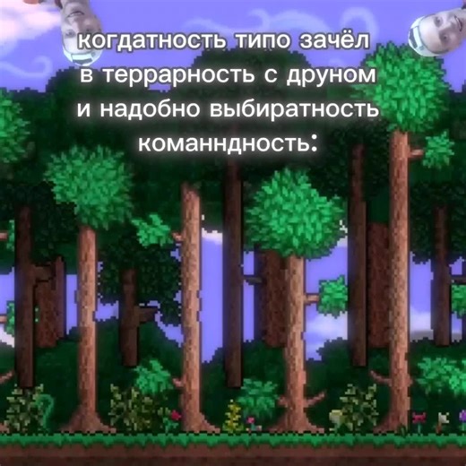 Советы по управлению камерой в Террарии