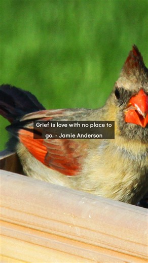 Choosing Grace and Gratitude: Today's Connection: Grief is love with no place to go. (Jamie Anderson) Your grief isn't too much. It's just love that needs somewhere to land. Share your gratitude for what was and what is at our weekly meeting. Comment if grief has taught you about love. #Grief #Love #Gratitude #GraceAndGratitude #Healing | Connecting Grace and Gratitude