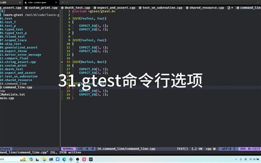 高效工作学习-gtest命令行选项