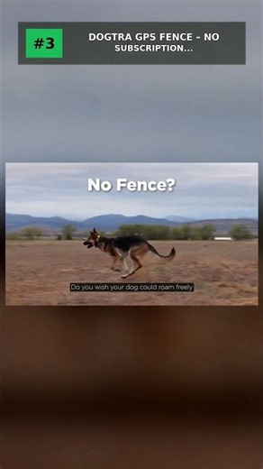 Top 5 Gps Dog Collars 2026 #shorts