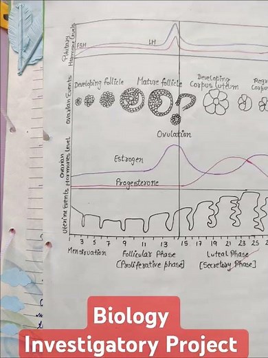 Biology Investigatory Project # Female Reproductive System #menstrual cycle # Oogenesis #biology