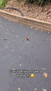 Talonflame vs Scyther 😂 via BarstoolSports See more cool stuff at suatmm.com! #shutupandtakemymoney #takemymoney #suatmm #gaggifts #coolgifts #geekgifts #gag #cool #geek #giftideas #pokemon | ShutUpAndTakeMyMoney