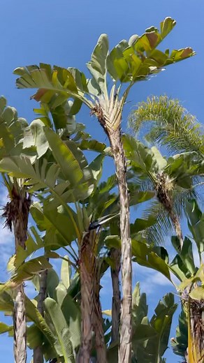 Sarah Wayne Callies on Instagram: "tryna look like i know what i’m doing 🫣 @regard bts"