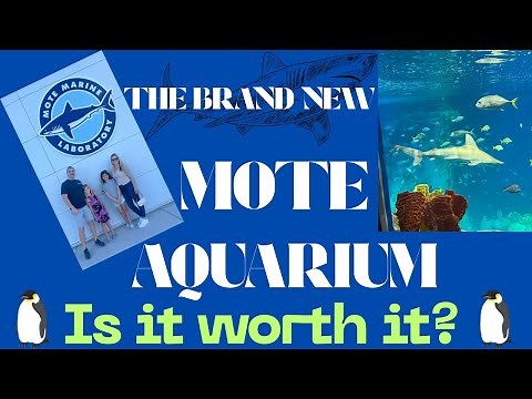 First Look Inside the NEW Mote Marine Aquarium in Sarasota!