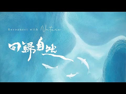 【2025新專輯】回歸自然 - 37首完整收聽| Reconnect With Nature-2025 New Album