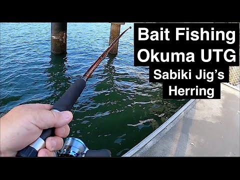 Okuma UTG Sabiki Rod and jig bait fishing for herring SV EP8 Wayne Groomes