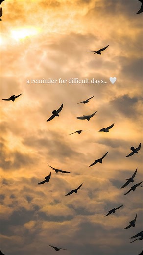 sabina laura | poetry on Instagram: "a reminder for difficult days. 📖: when i fall by sabina laura. ✨ #sabinalaurapoetry #poetry #poems #mentalhealthquotes #poemsforhealing"