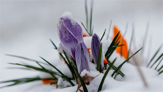What was the coldest day in Columbus history? How does 2025 compare?