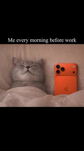 Morning Routine Before Work Insights