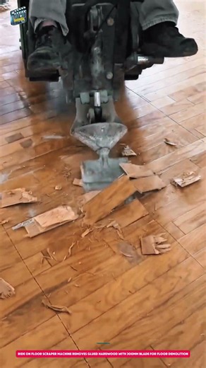 Ride On Floor Scraper Machine Removes Glued Hardwood with 300mm Blade for Floor Demolition