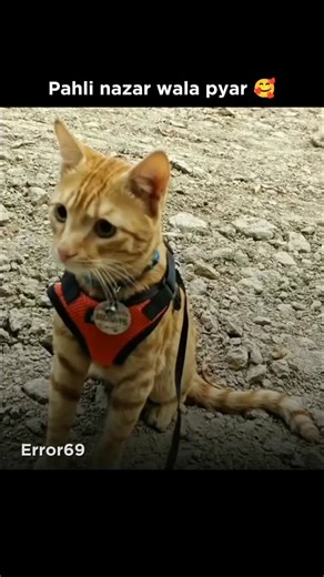 Error 69 on Instagram: "Andha pyar 🤓"